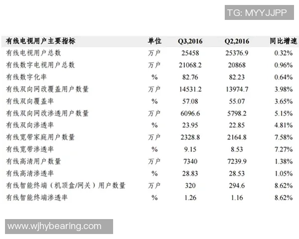 南京排球队技术分析与战术创新的深度探讨与展望