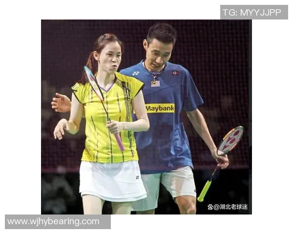 南京羽毛球队与成都羽毛球队耐力较量赛后分析与总结