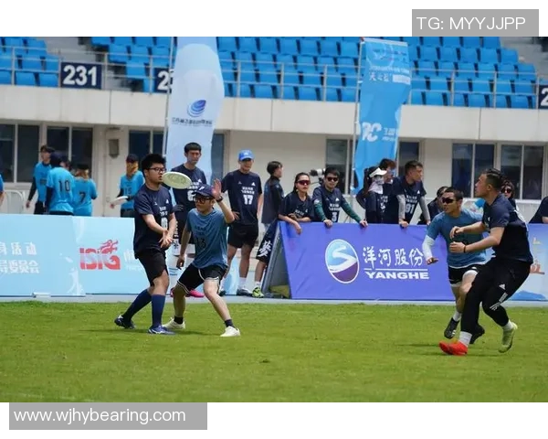 南京飞盘队在世界攀岩锦标赛中的拼搏与荣耀之路