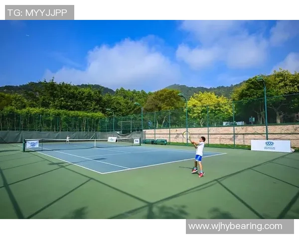 南京网球队的节奏探讨与发展之路聚焦网球运动的未来与挑战