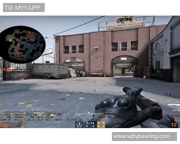 吴丽专访：从新手到高手的CSGO成长之路与心路历程分享