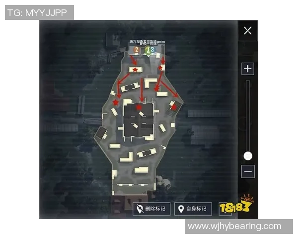 和平精英战术分析：WE战队中路突破策略深度解读与影响探讨