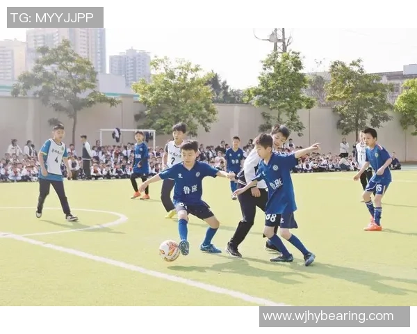 吴静独家篮球心得分享探索技巧与心态的完美结合